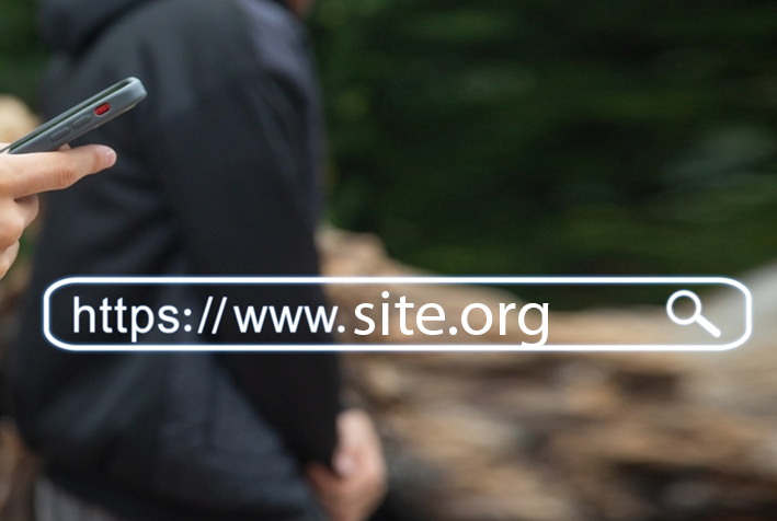 Dominio .org de primer nivel