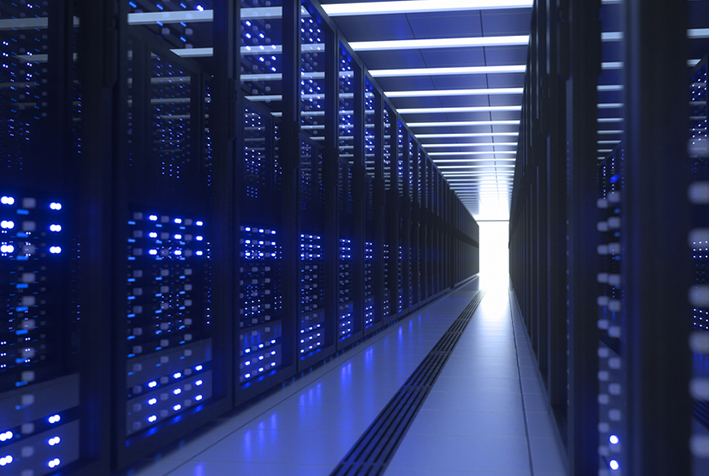 Hosting Bi-Anual